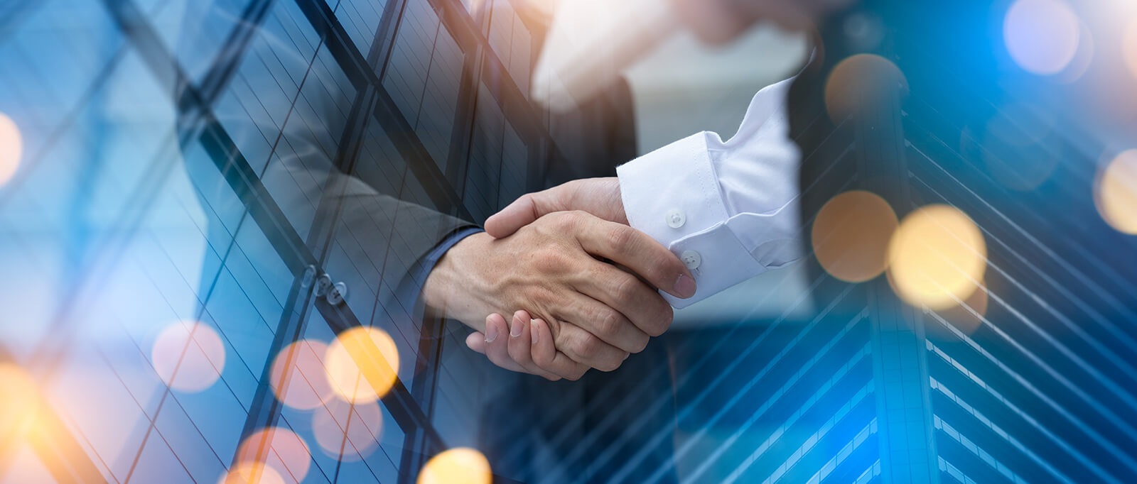 Global Expertise in Visa and Identity Solutions